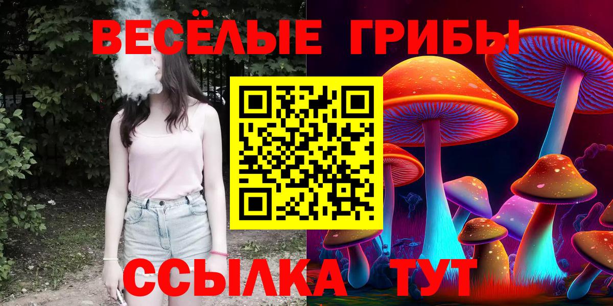 Галлюциногенные грибы Psilocybe Ахтубинск